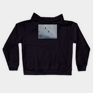 Birds On A Wire Kids Hoodie